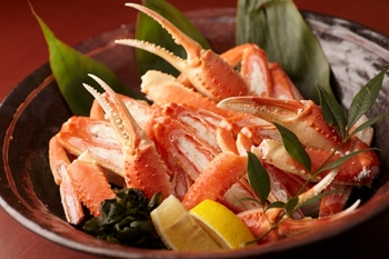 西日本、蟹を食べに旅行するならどこがお勧め？