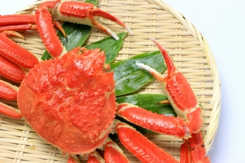 日本有数の蟹の産地とは？